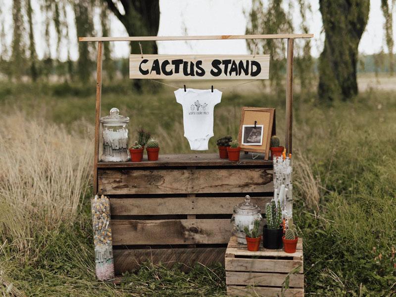Outdoors, a rustic table is topped with a jar of medical needles, several small, potted cacti, a photo of a sonogram, and a baby onesie that shows drawings of cacti and the words worth every prick.