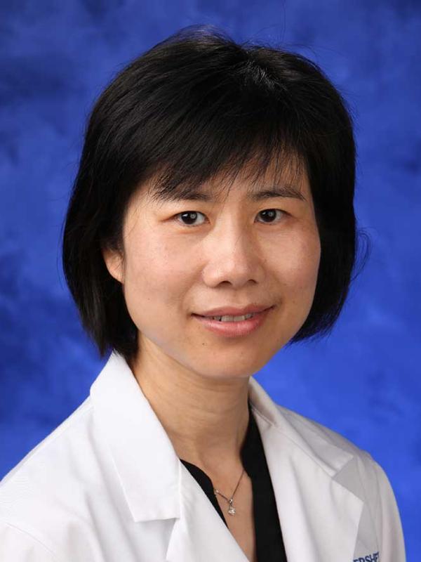 Hong Zheng, MD,  PhD