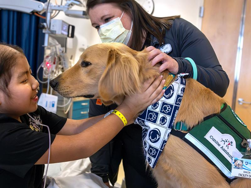 A child life specialist primary handler for Baron, a facility dog, spends time with young child in her room at Penn State Health Children's Hospital.