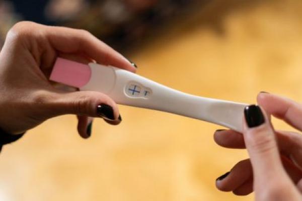 Hands Holding Pregnancy Test Kit