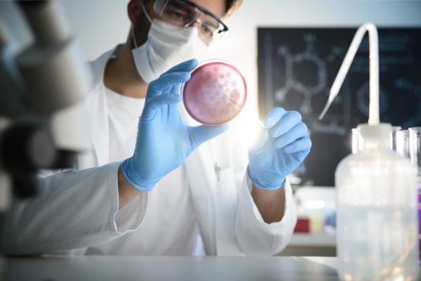 Student examines a Petri dish.