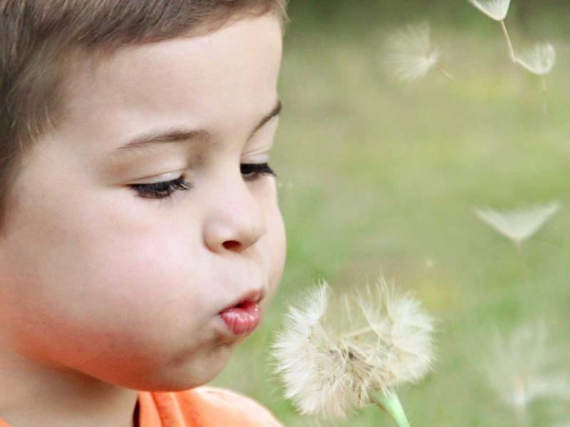 Boy Wearing Orange Shirt Blowing on Dandelion